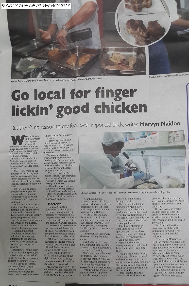 chicken local newspaper article