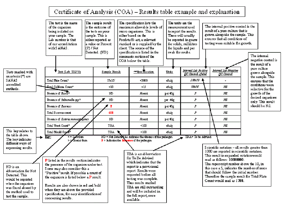 Explanation of our reports